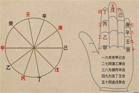 坐基是什麼|八字命局里何谓坐基（八字中坐支是什么意思）